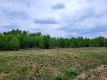 Działka budowlana Rybno