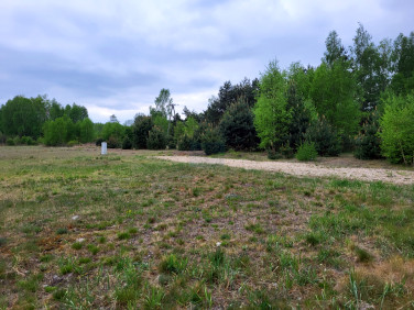 Działka budowlana Rybno