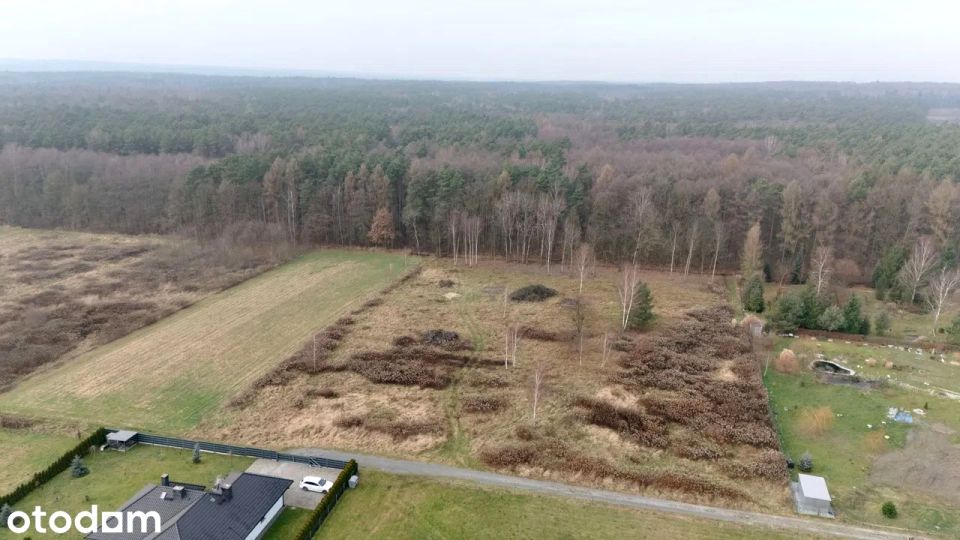 Działka budowlana Pilchowice