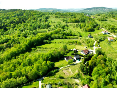 Działka Palcza