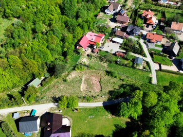 Działka Palcza