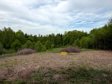 Zalesiona działka Bochnia
