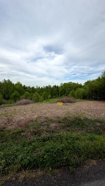 Zalesiona działka Bochnia
