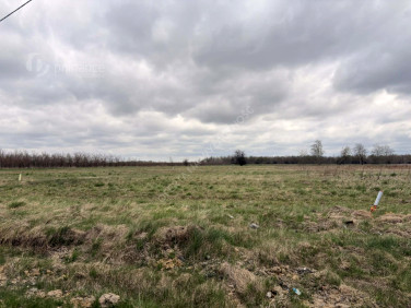 Działka budowlana Prażmów sprzedam