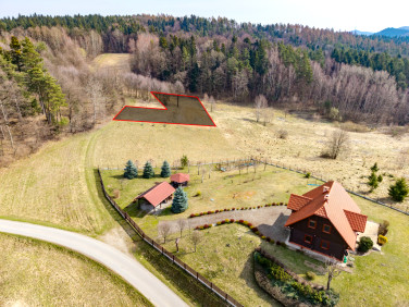 Działka przy lesie