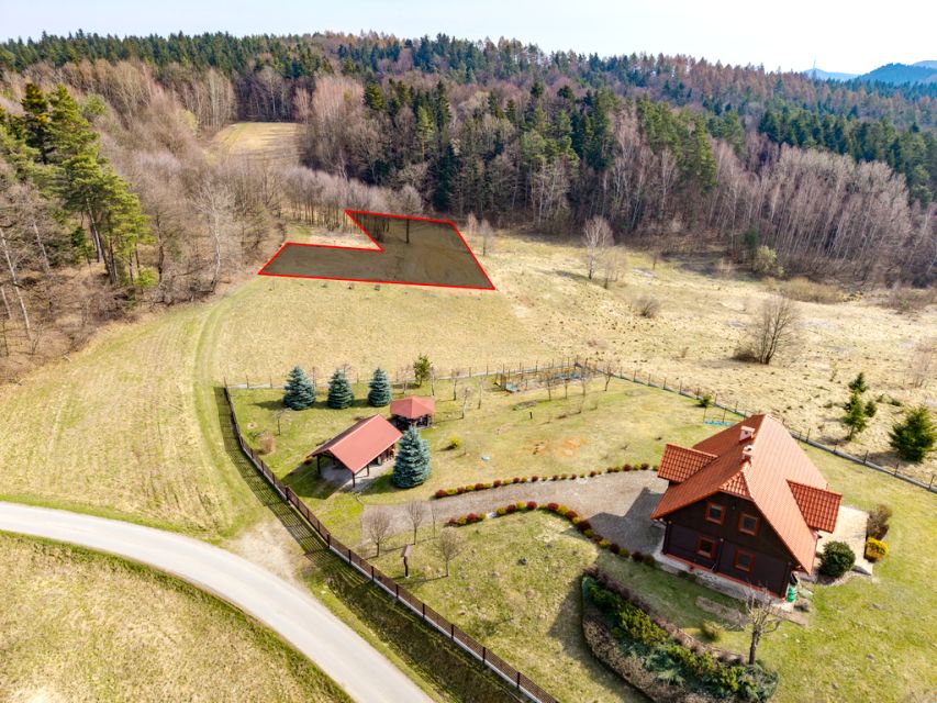 Działka przy lesie