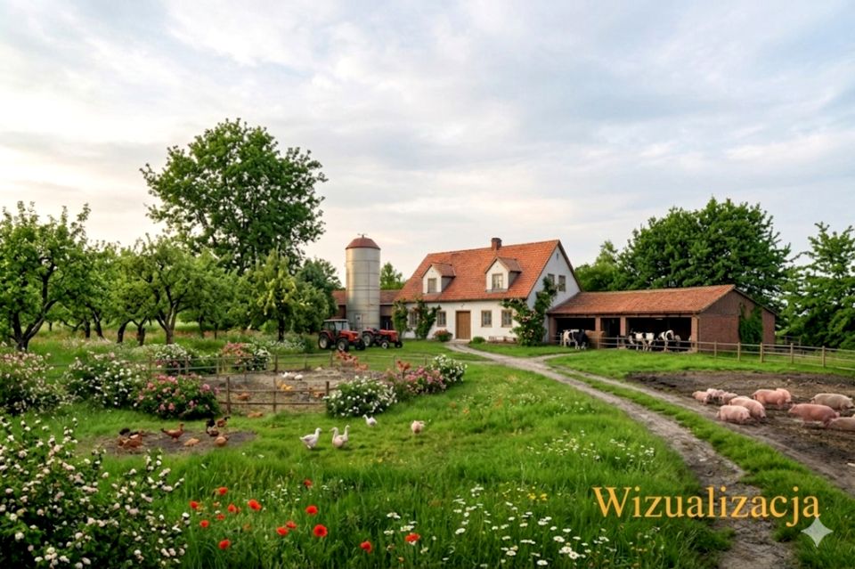 Działka budowlana Róża