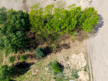 Działka przy lesie