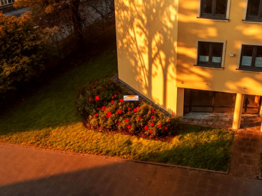 Lokal Kraków