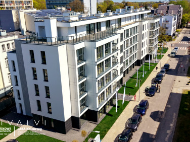 Bivalvi Apartamenty