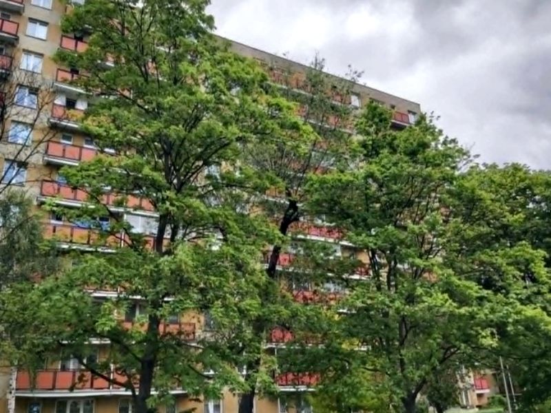 Mieszkanie Warszawa