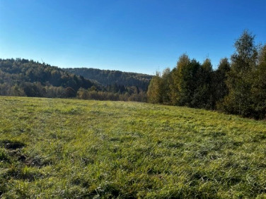 Działka budowlana Dynów