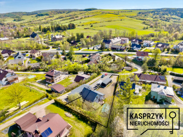 Dom Królik Polski