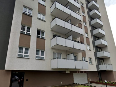 Lokal Warszawa