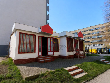 Lokal Wrocław