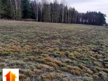 Działka rolna Rakszawa