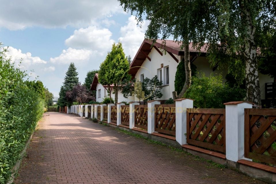 Zdjęcie 2