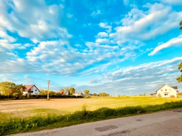 Działka budowlana Cerekwica
