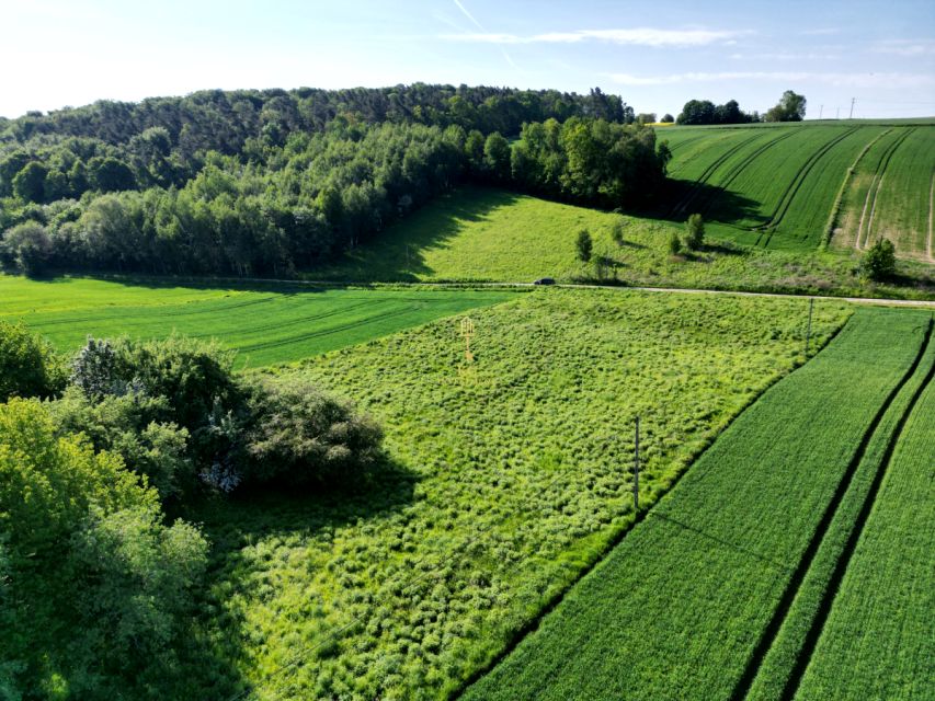 Działka budowlana Celiny