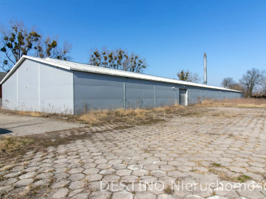 Budynek użytkowy Kalisz