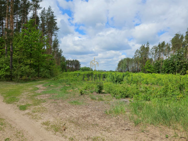 Działka budowlana Skrybicze