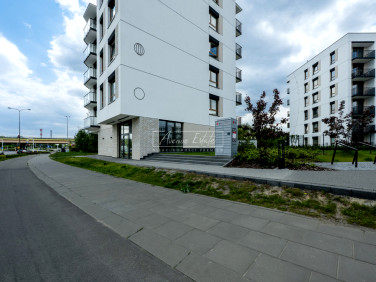 Lokal Warszawa