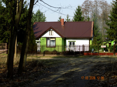 Działka siedliskowa Obory