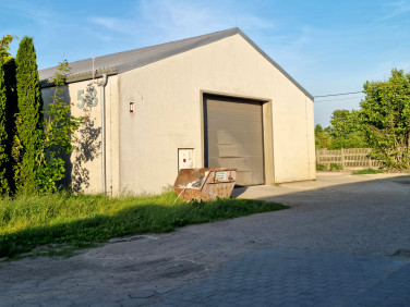 Lokal Dopiewo wynajem