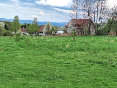 Pusta działka Chocieszów