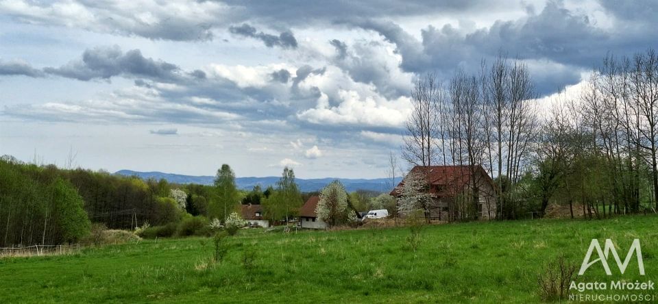 Zdjęcie 2