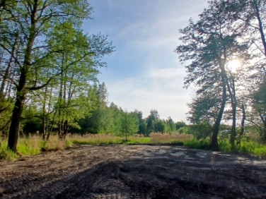 Działka Wola Gołkowska