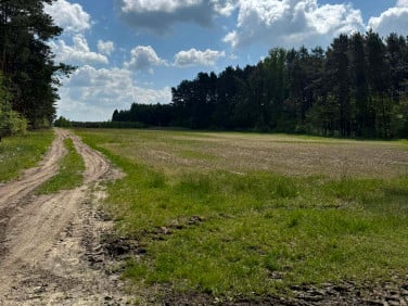 Działka Kurzelów
