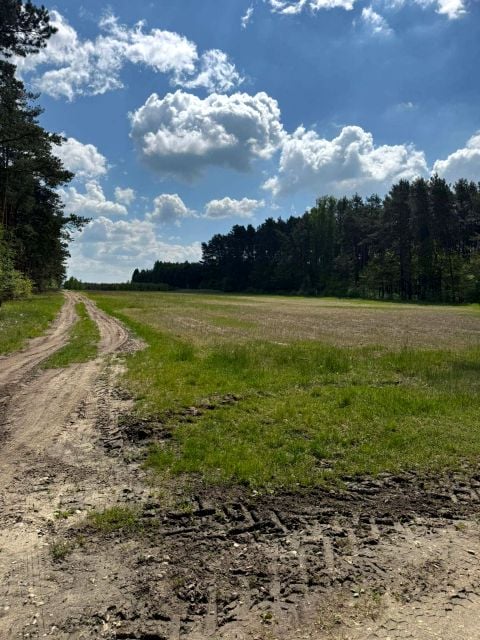 Działka Kurzelów