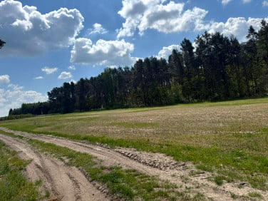 Działka budowlana Kurzelów sprzedam