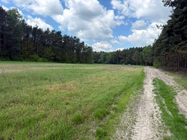 Działka Kurzelów