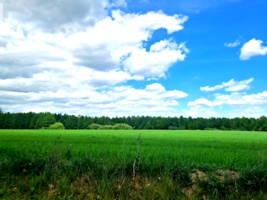 Działka inna Kęsowo