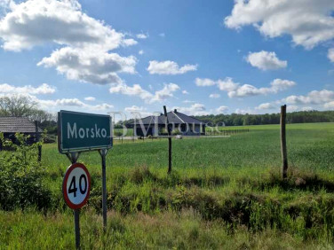 Działka budowlana Krosno Odrzańskie