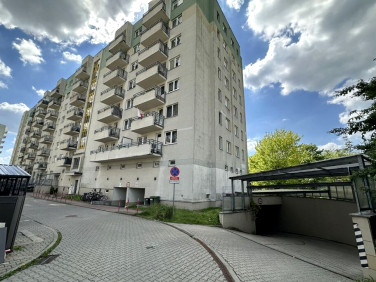 Lokal Kraków
