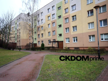 Mieszkanie Kielce