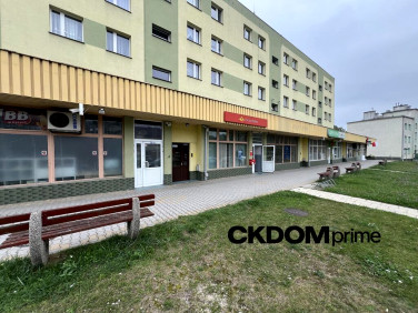Lokal Kielce