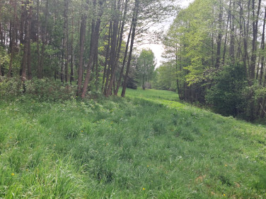 Działka nad jeziorem
