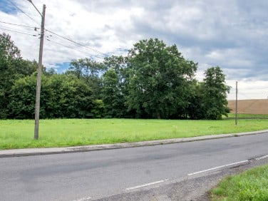 Działka inwestycyjna Kornice sprzedam