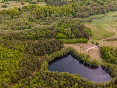 Działka inna Drzewiany