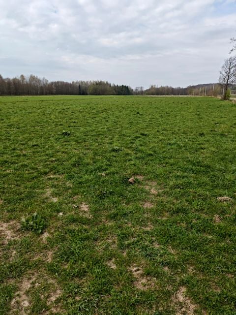 Zdjęcie 2