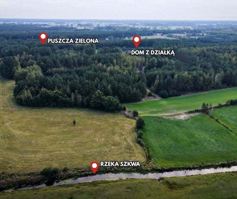 Zdjęcie 2