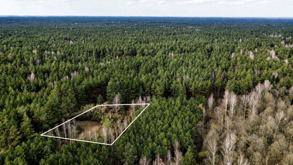 Działka budowlano-rolna Orłowo