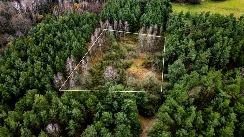 Działka Rolno-Budowlana Orłowo