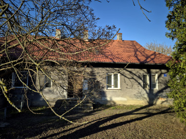 Mieszkanie Konin