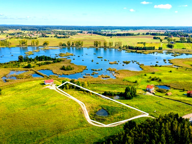 Działka przy lesie