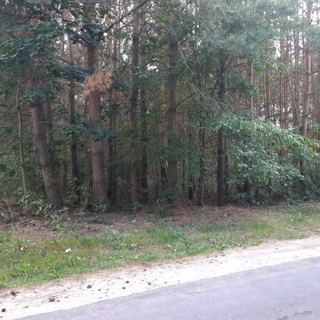 Zdjęcie 2